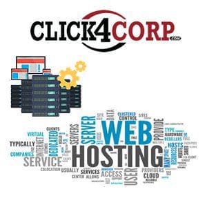 Few Types of Hosting Services Navigating the Digital Realm