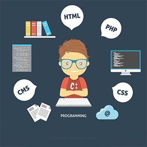 Dallas Web Developer