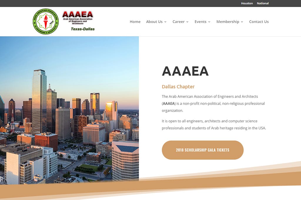 AAAEA website preview