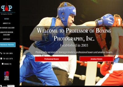 Professor of Boxing Photography
