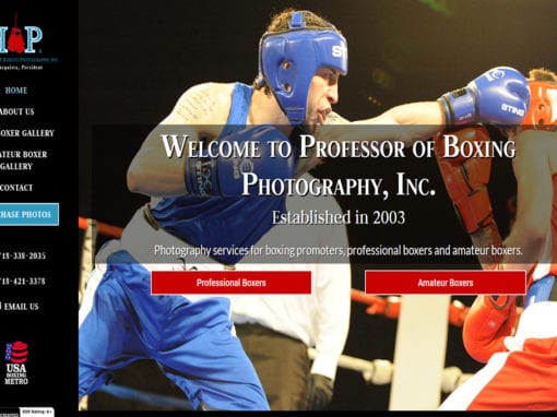 Professor of Boxing Photography