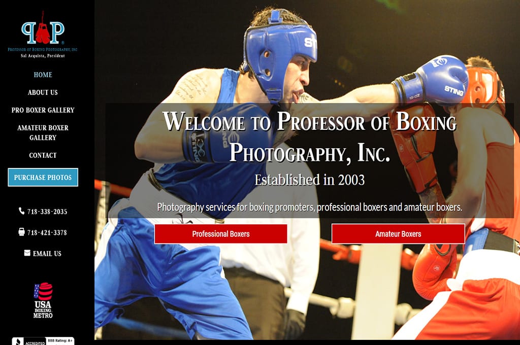 Professor of Boxing Photography Website Preview