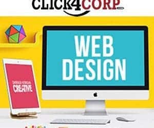 Redesigning Business Website