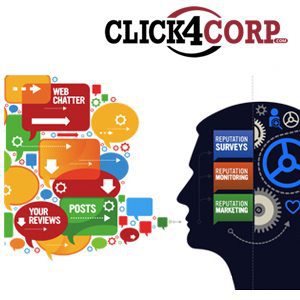 Best Online Reputation Management Services Tx - Click4Corp